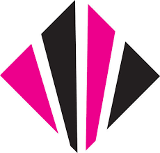 Dyfed Surveyors Network 